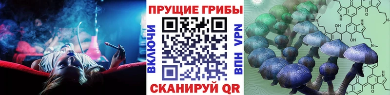 KRAKEN зеркало  shop Telegram  Галлюциногенные грибы мицелий  Городовиковск 